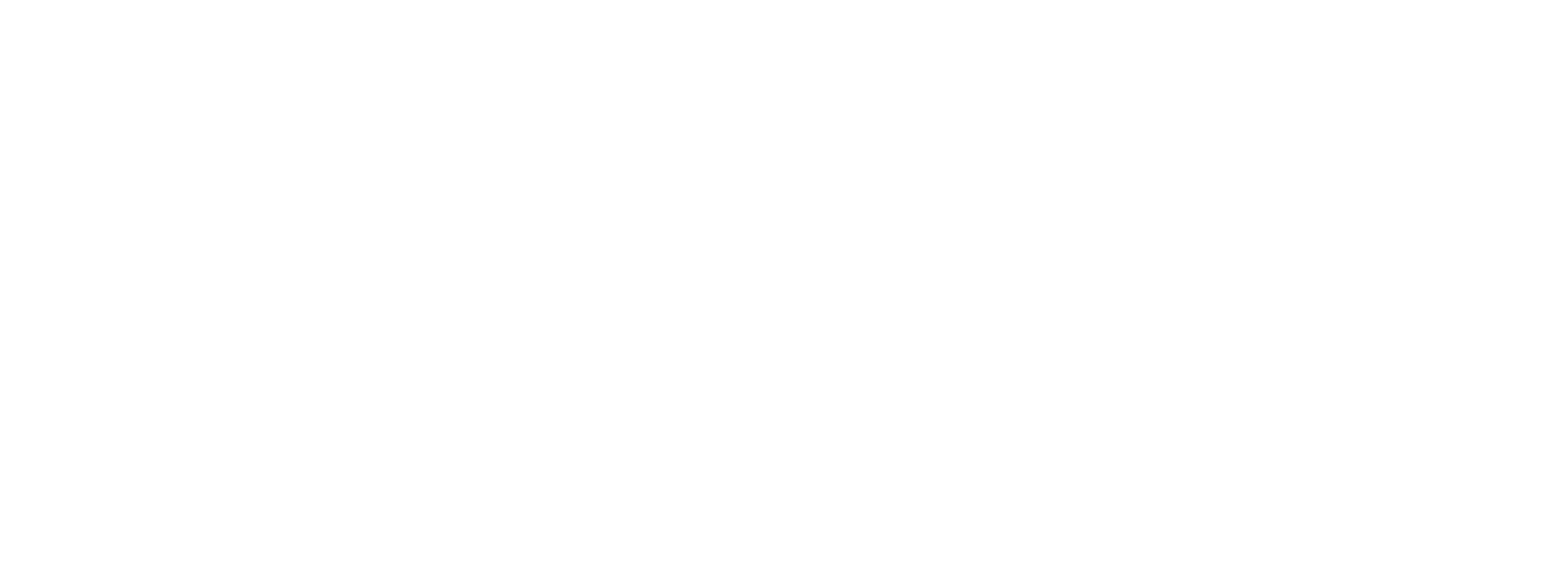 Wingman Logo White